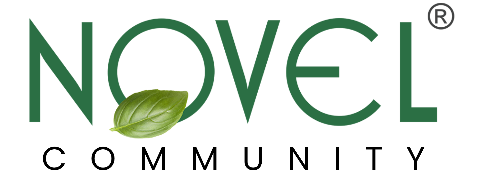 Novel Community